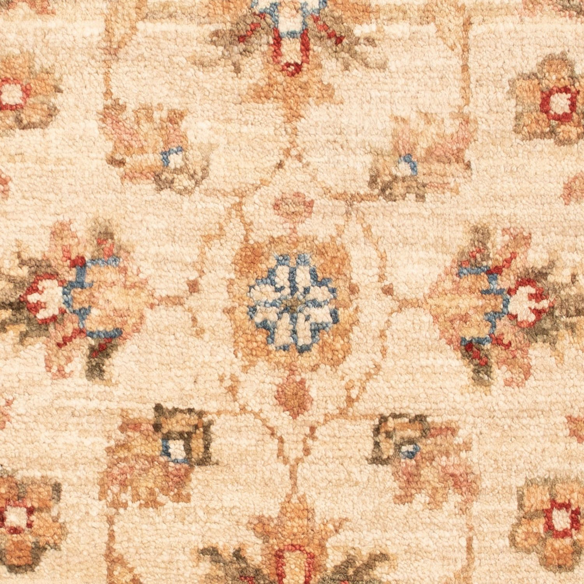 Ziegler Teppich - 70 x 53 cm - beige