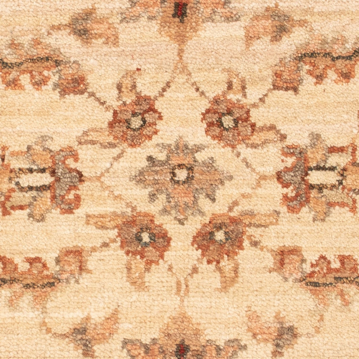 Ziegler Teppich - 68 x 48 cm - beige