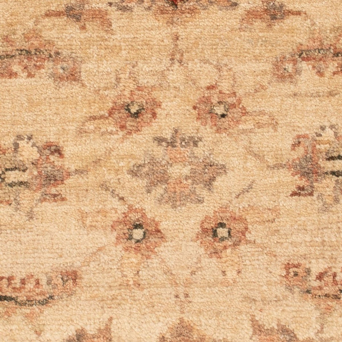 Ziegler Teppich - 65 x 51 cm - beige
