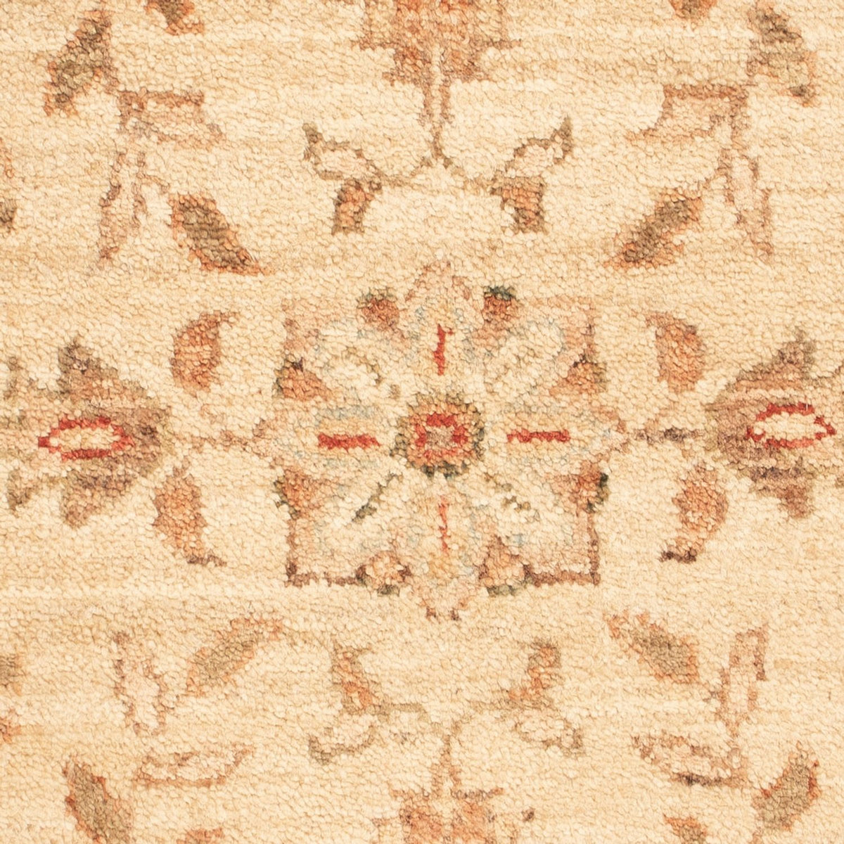 Ziegler Teppich - 70 x 50 cm - beige