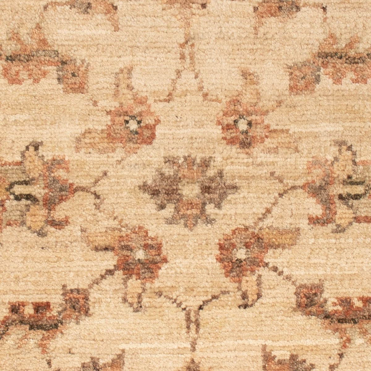 Ziegler Teppich - 72 x 50 cm - beige