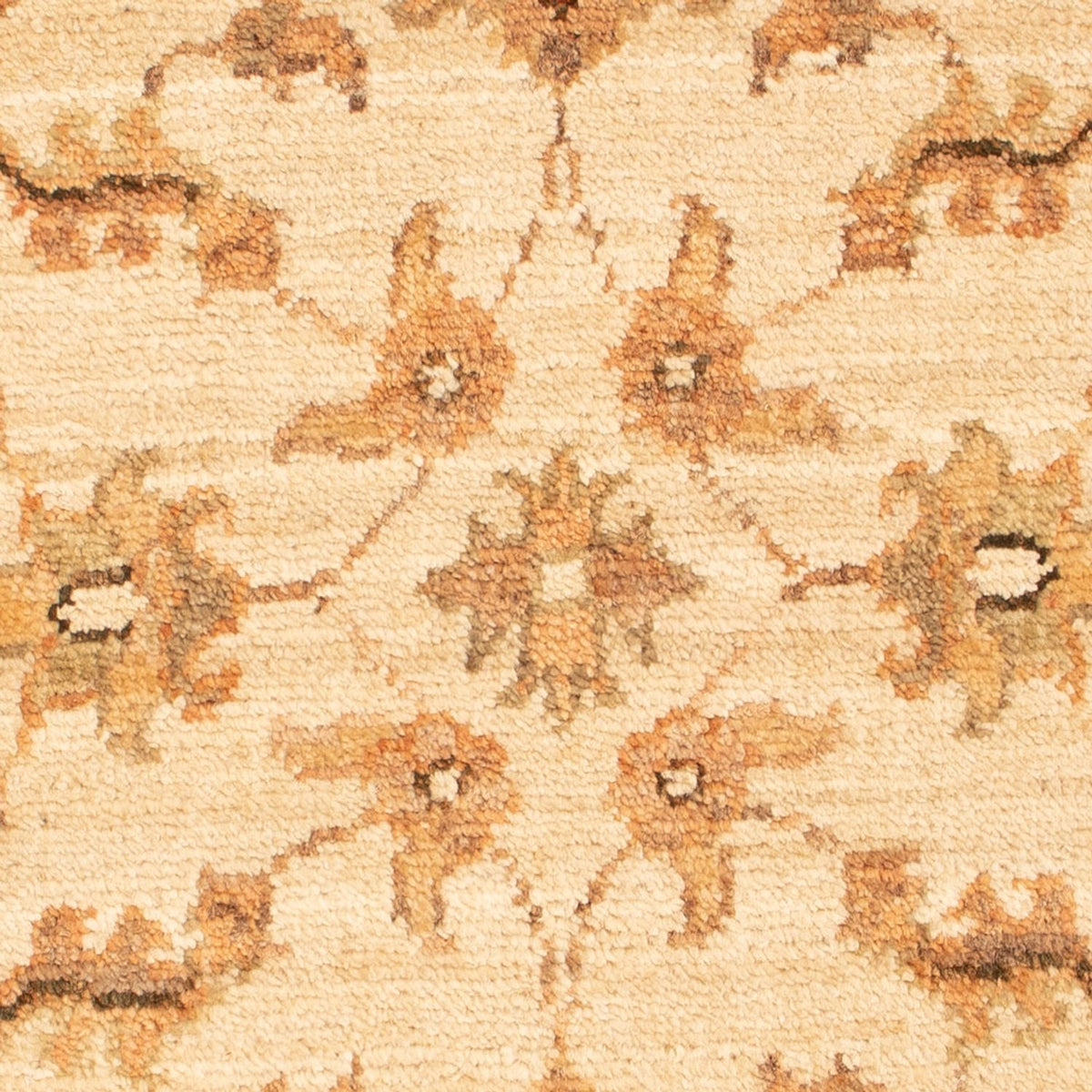 Ziegler Teppich - 70 x 50 cm - beige