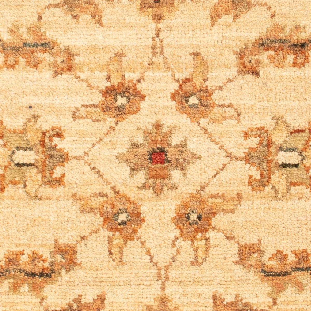 Ziegler Teppich - 67 x 50 cm - beige
