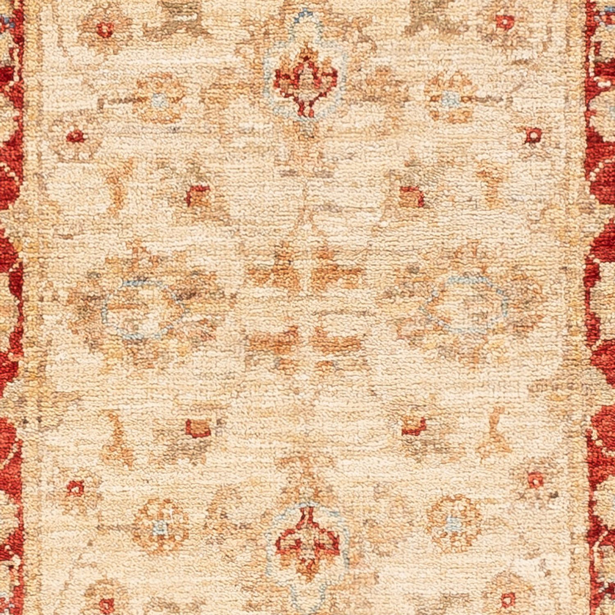 Läufer Ziegler - 156 x 52 cm - beige