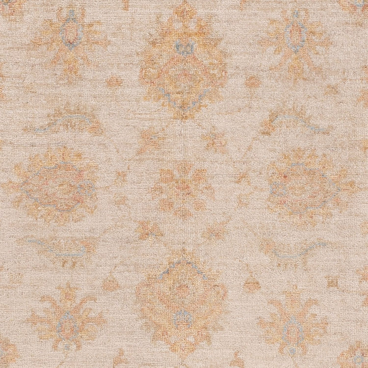 Ziegler Teppich - 150 x 104 cm - creme