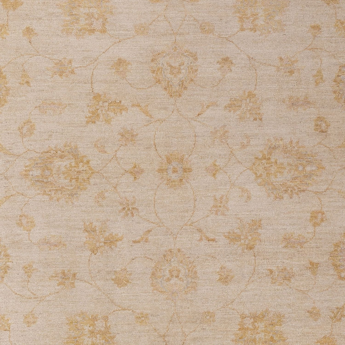 Ziegler Teppich - 296 x 202 cm - beige