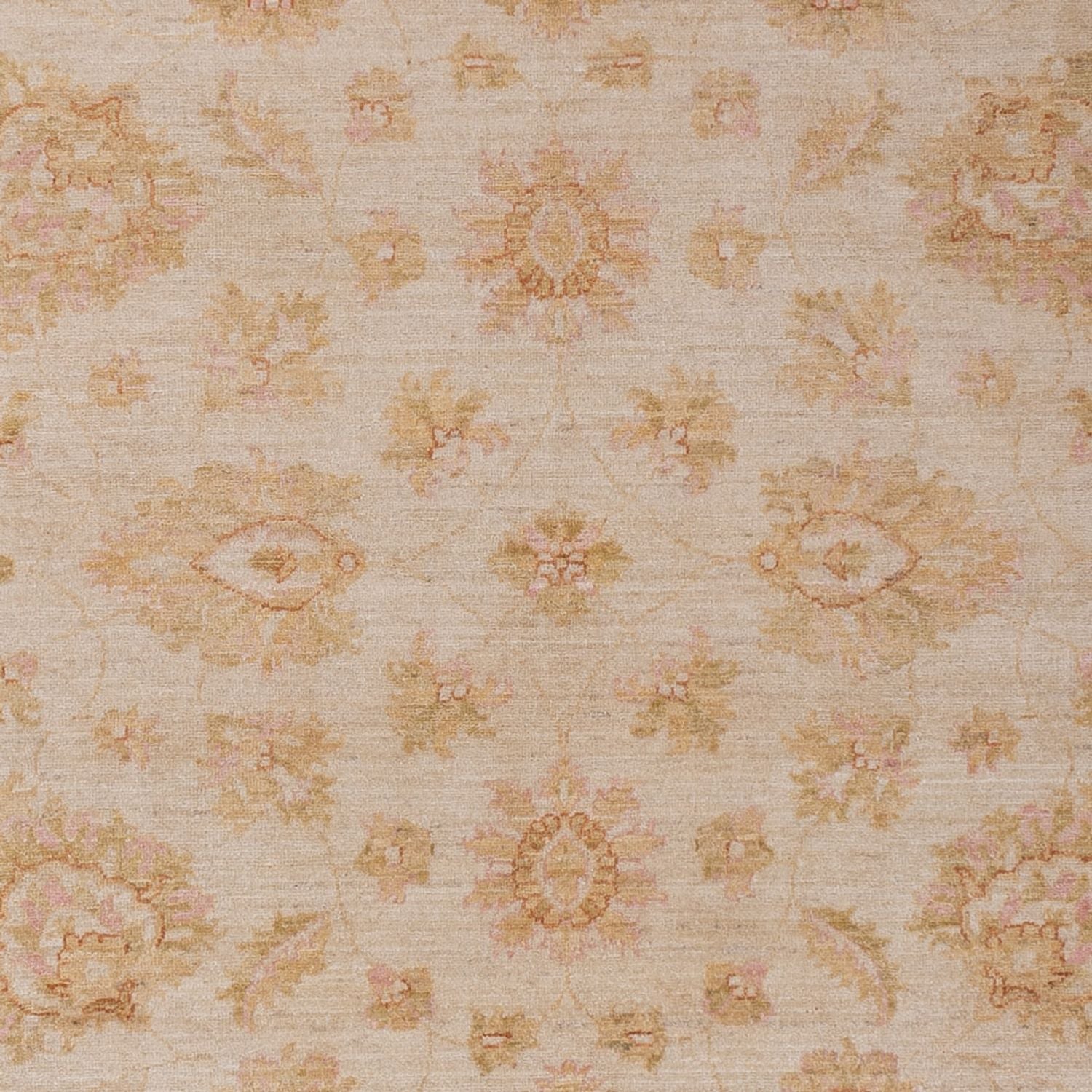 Ziegler Teppich - 286 x 204 cm - beige