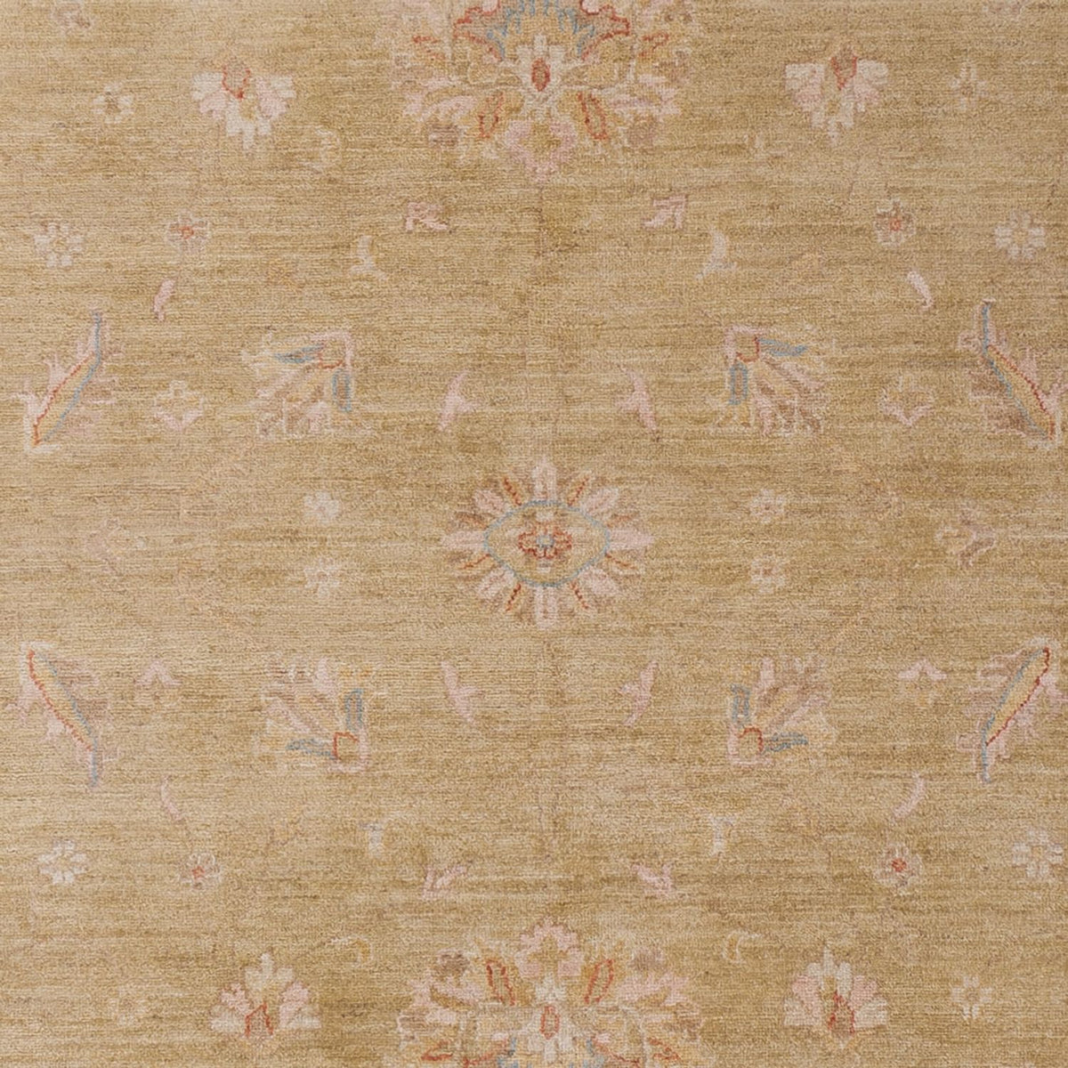 Ziegler Teppich - 290 x 205 cm - beige