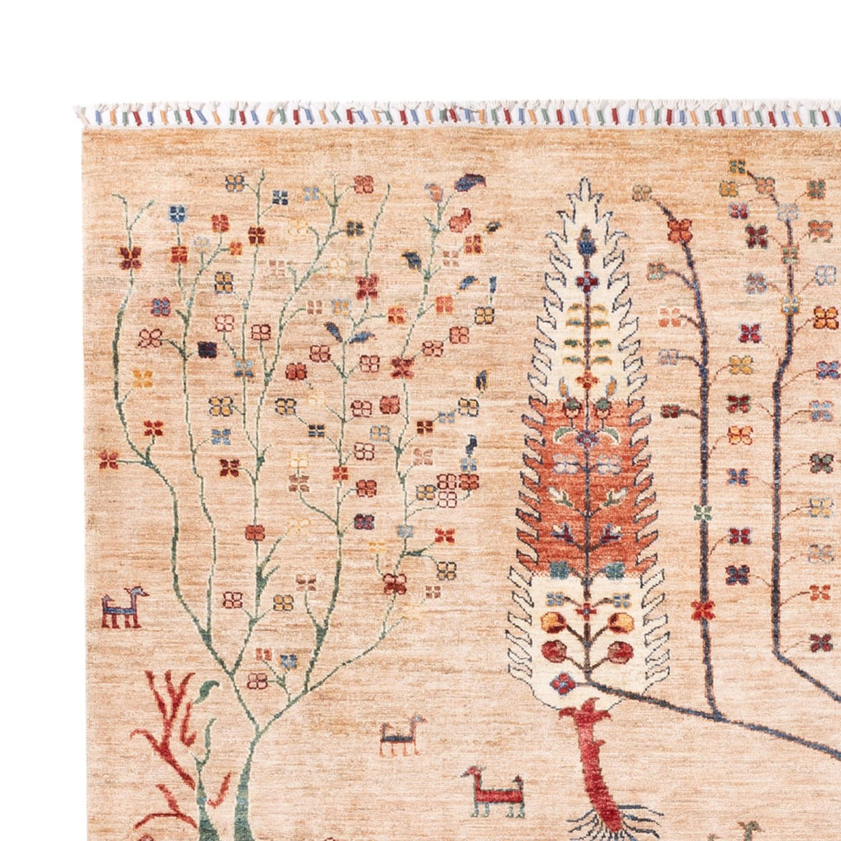 Ziegler Teppich - Ariana - 295 x 204 cm - beige