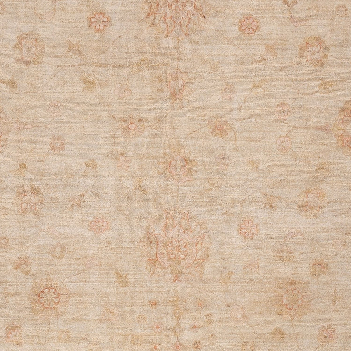Ziegler Teppich - 295 x 254 cm - beige