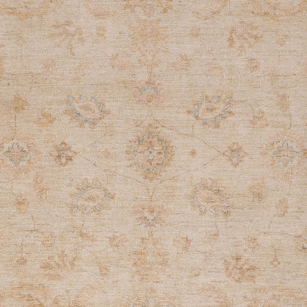 Ziegler Teppich - 298 x 250 cm - beige
