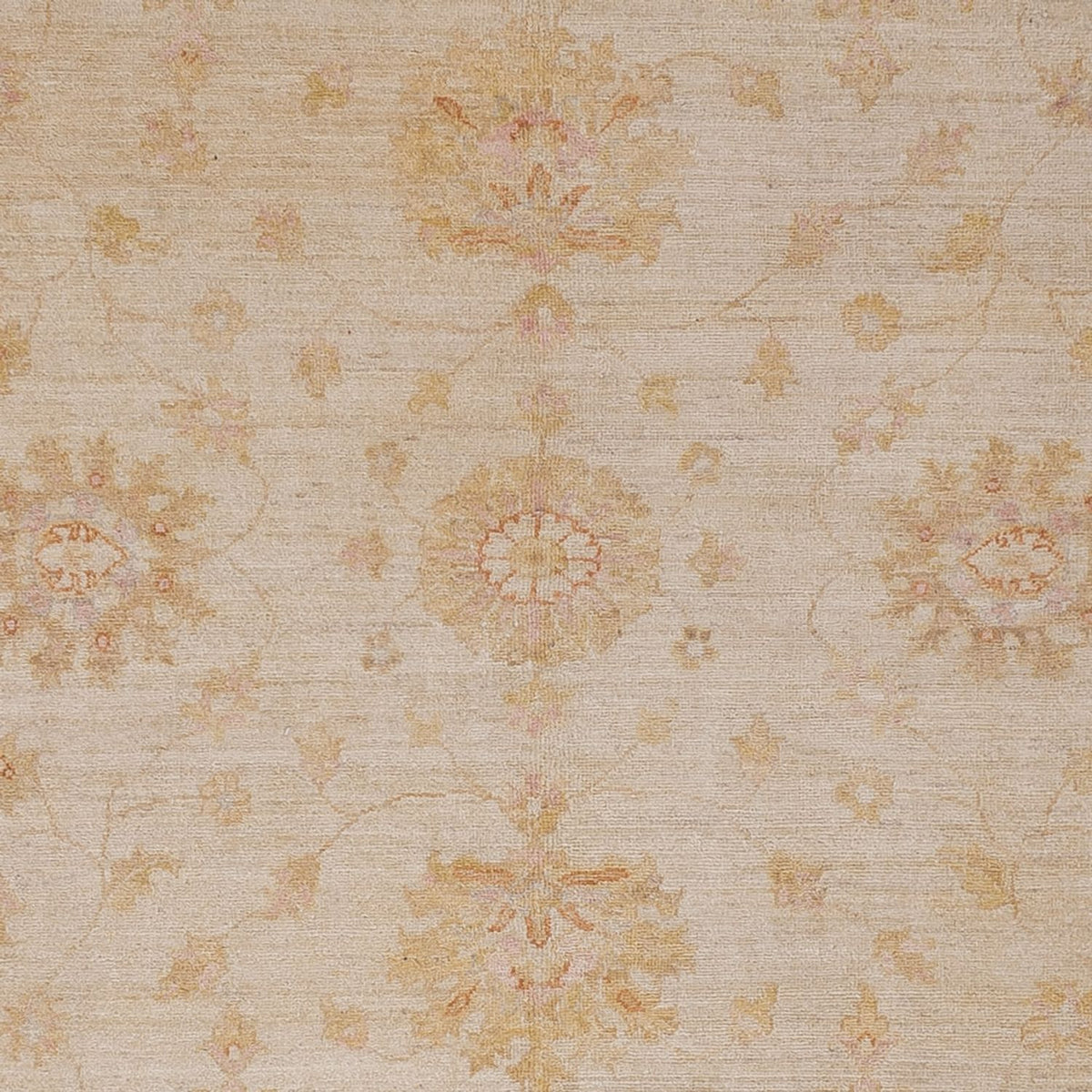 Ziegler Teppich - 300 x 248 cm - beige