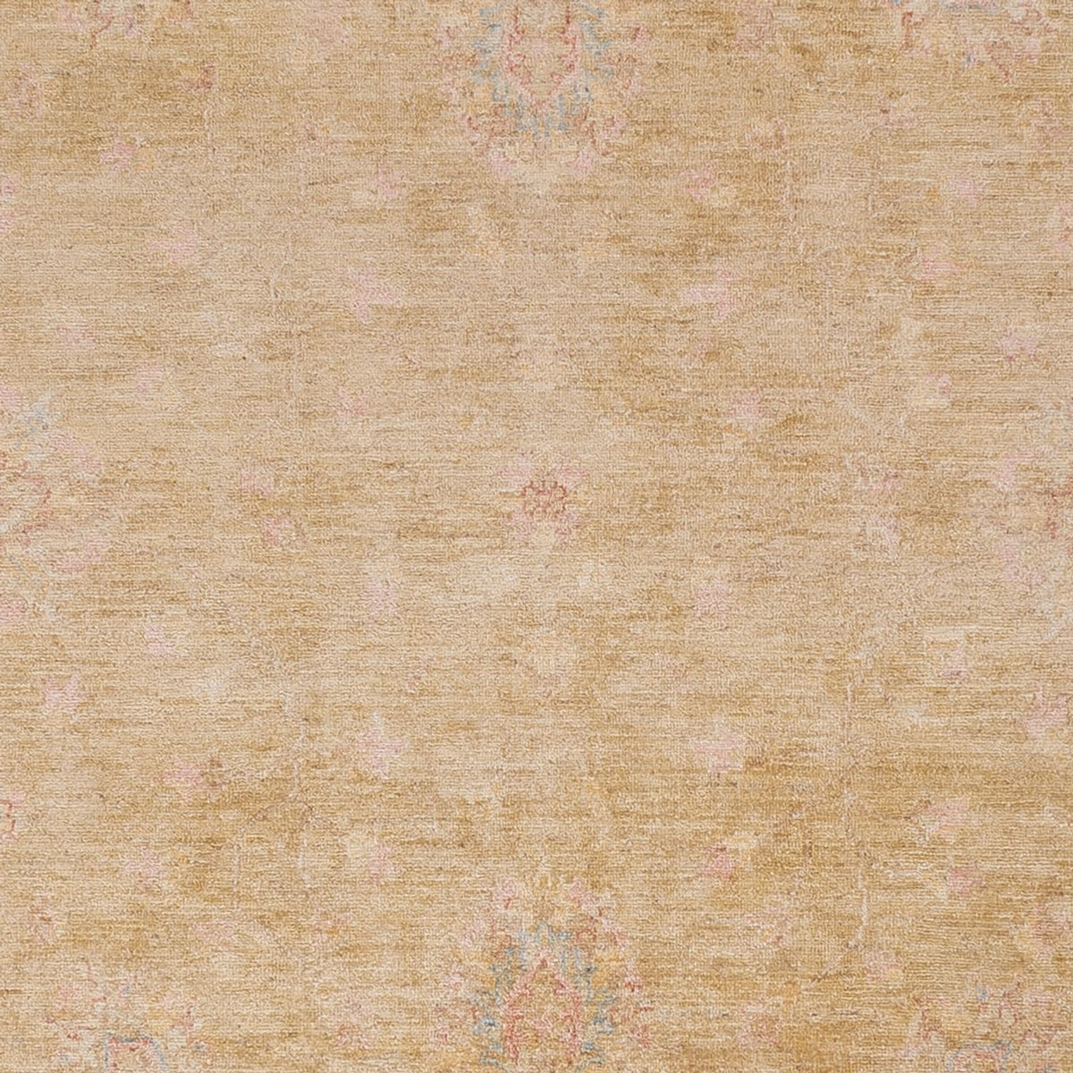 Ziegler Teppich - 297 x 260 cm - beige