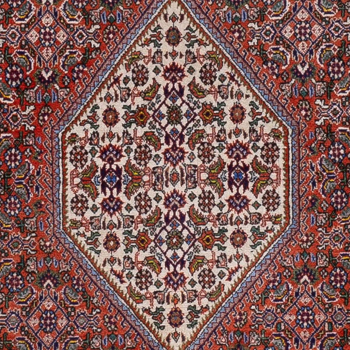 Perserteppich - Bidjar - 166 x 112 cm - rot