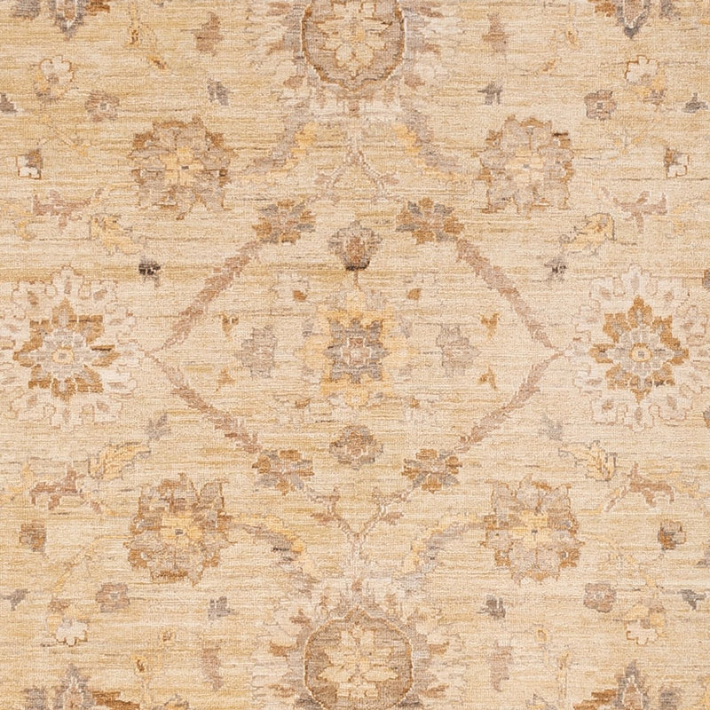 Ziegler Teppich - 290 x 244 cm - beige