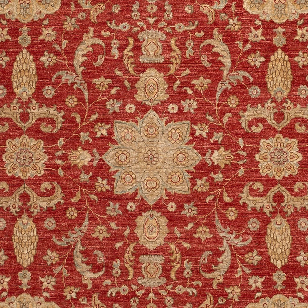 Ziegler Teppich - Ariana - 304 x 245 cm - rot