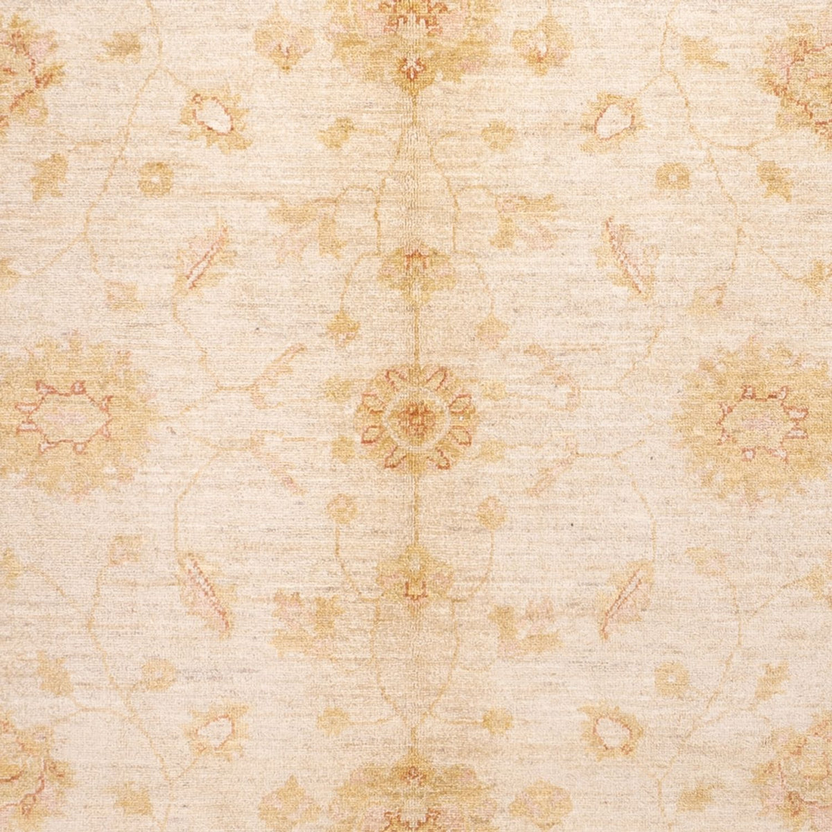 Ziegler Teppich - 294 x 205 cm - beige