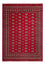 Afghan Teppich - Buchara - 292 x 206 cm - rot