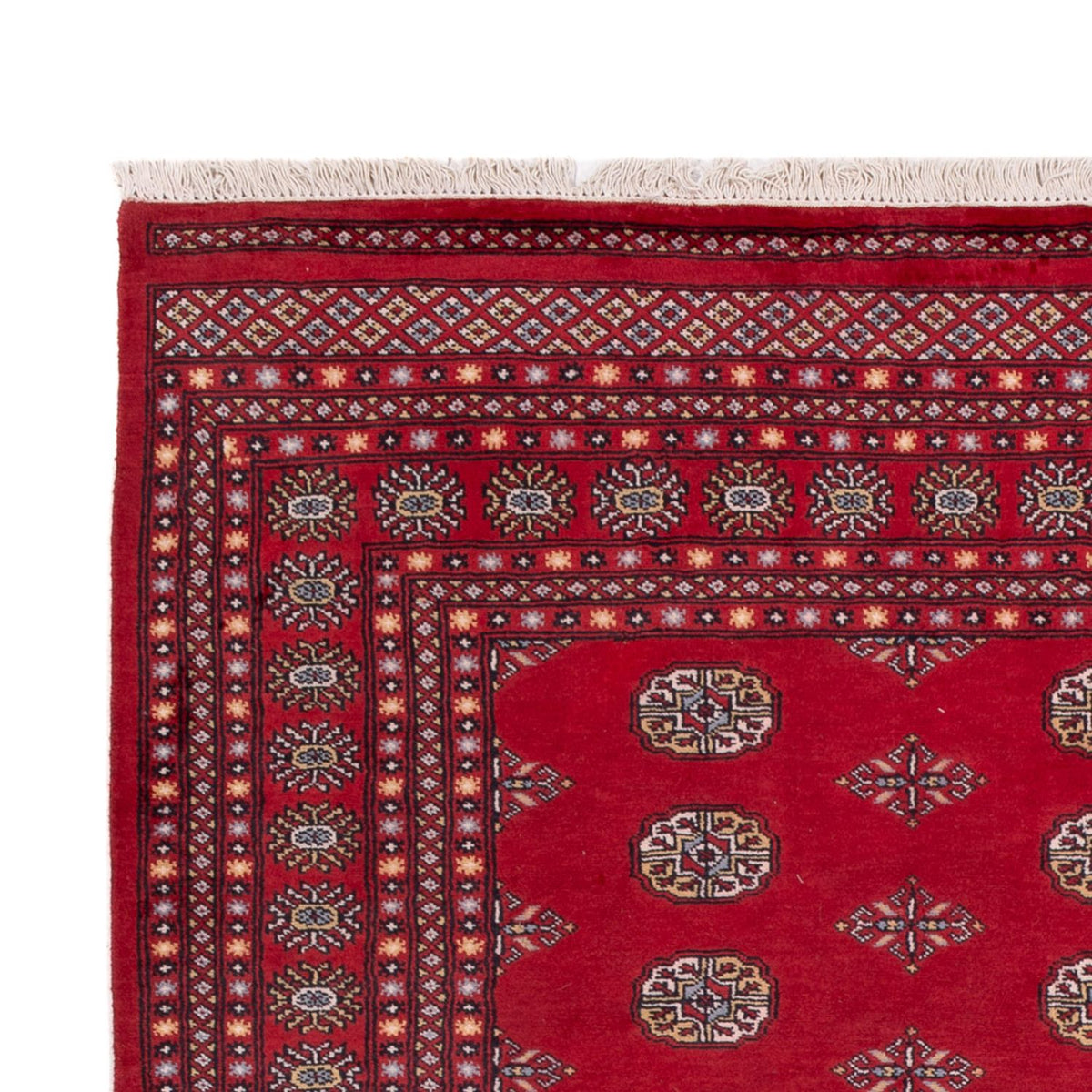 Afghan Teppich - Buchara - 300 x 201 cm - rot