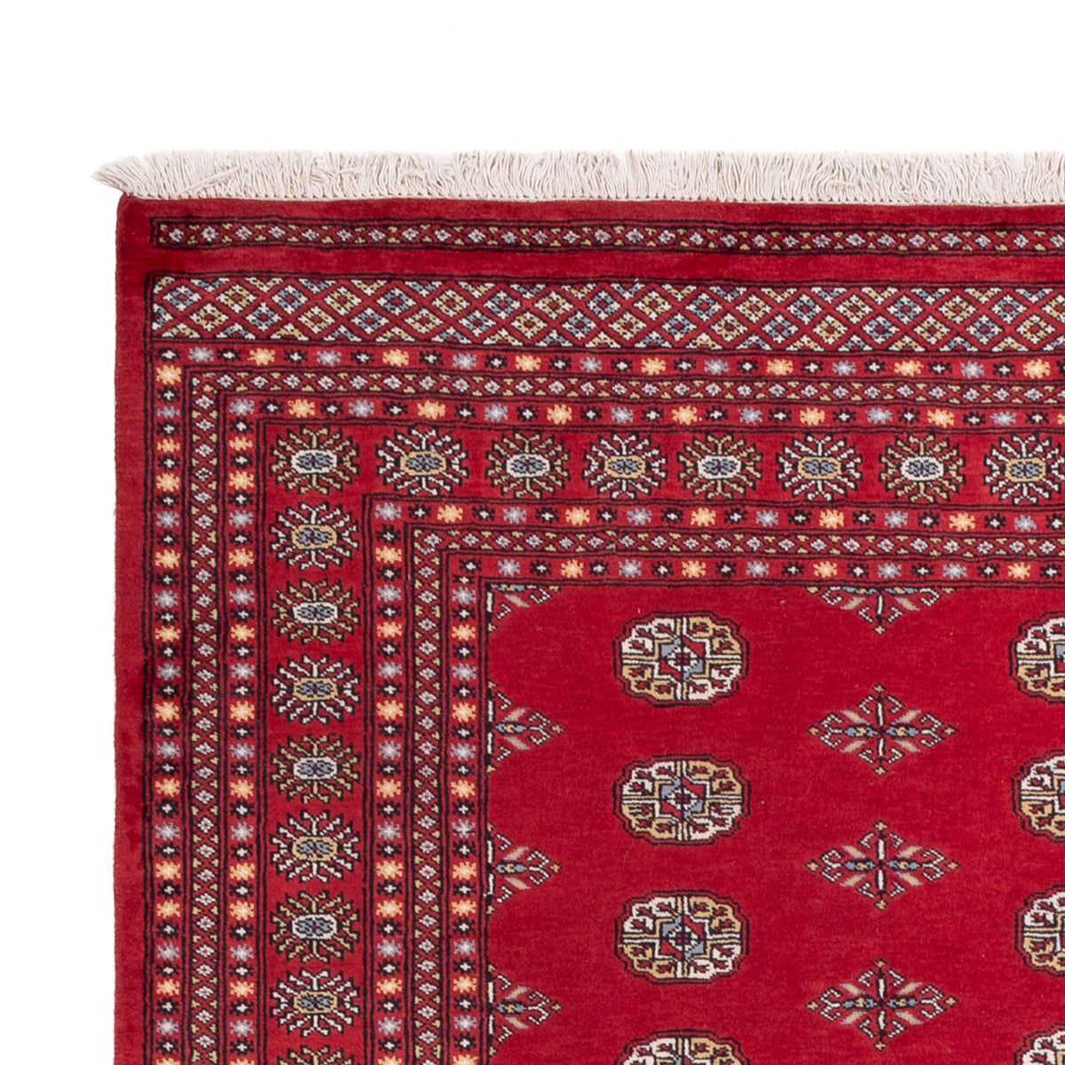 Afghan Teppich - Buchara - 304 x 206 cm - rot