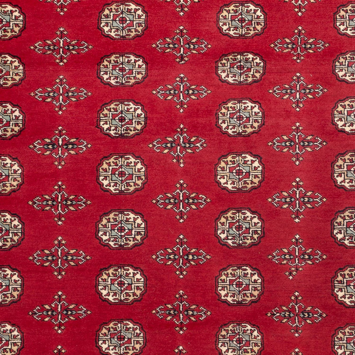 Afghan Teppich - Buchara - 318 x 210 cm - rot