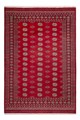 Afghan Teppich - Buchara - 308 x 207 cm - rot
