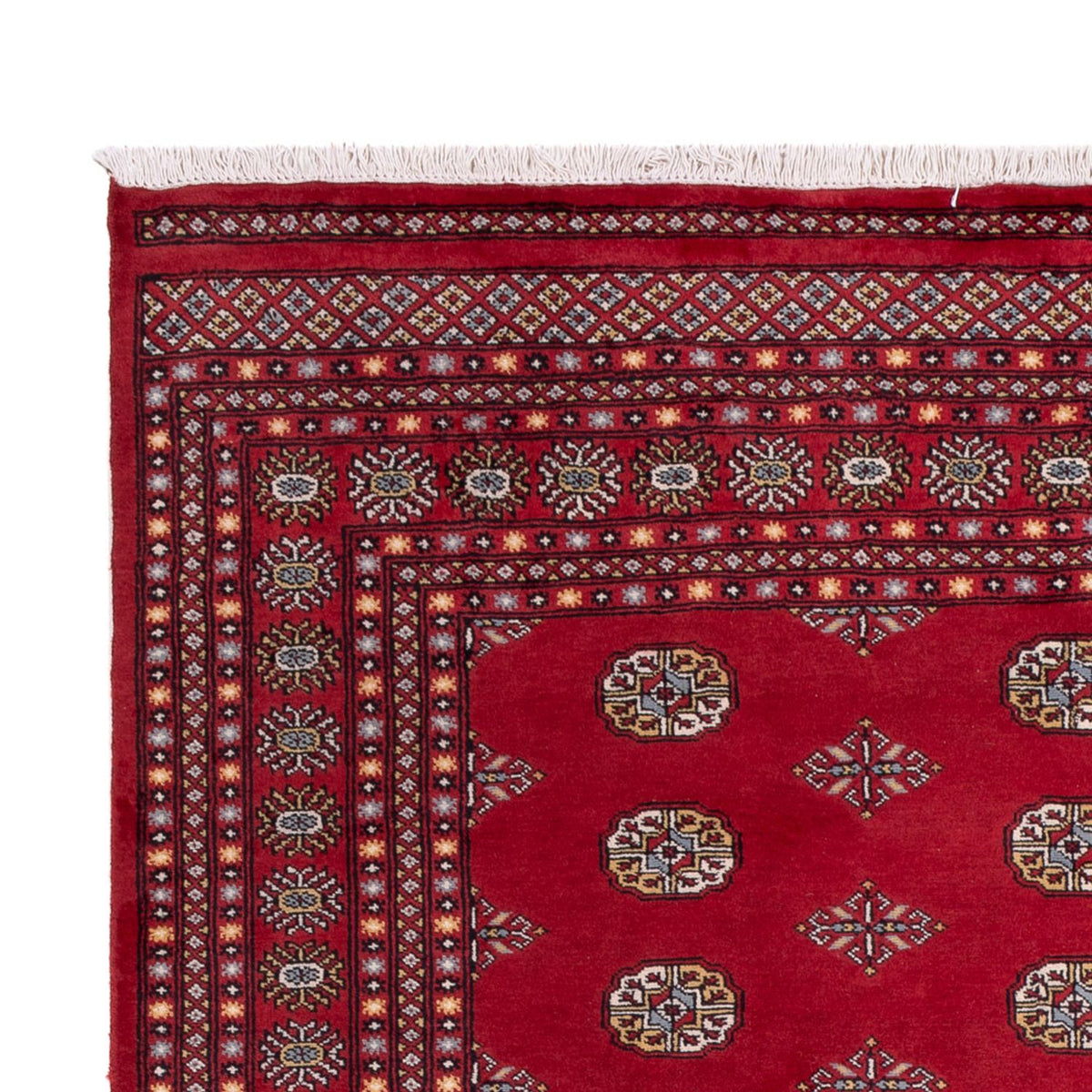 Afghan Teppich - Buchara - 306 x 202 cm - rot