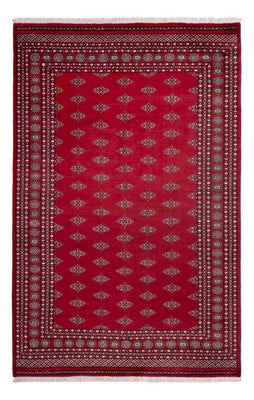 Afghan Teppich - Buchara - 317 x 204 cm - rot