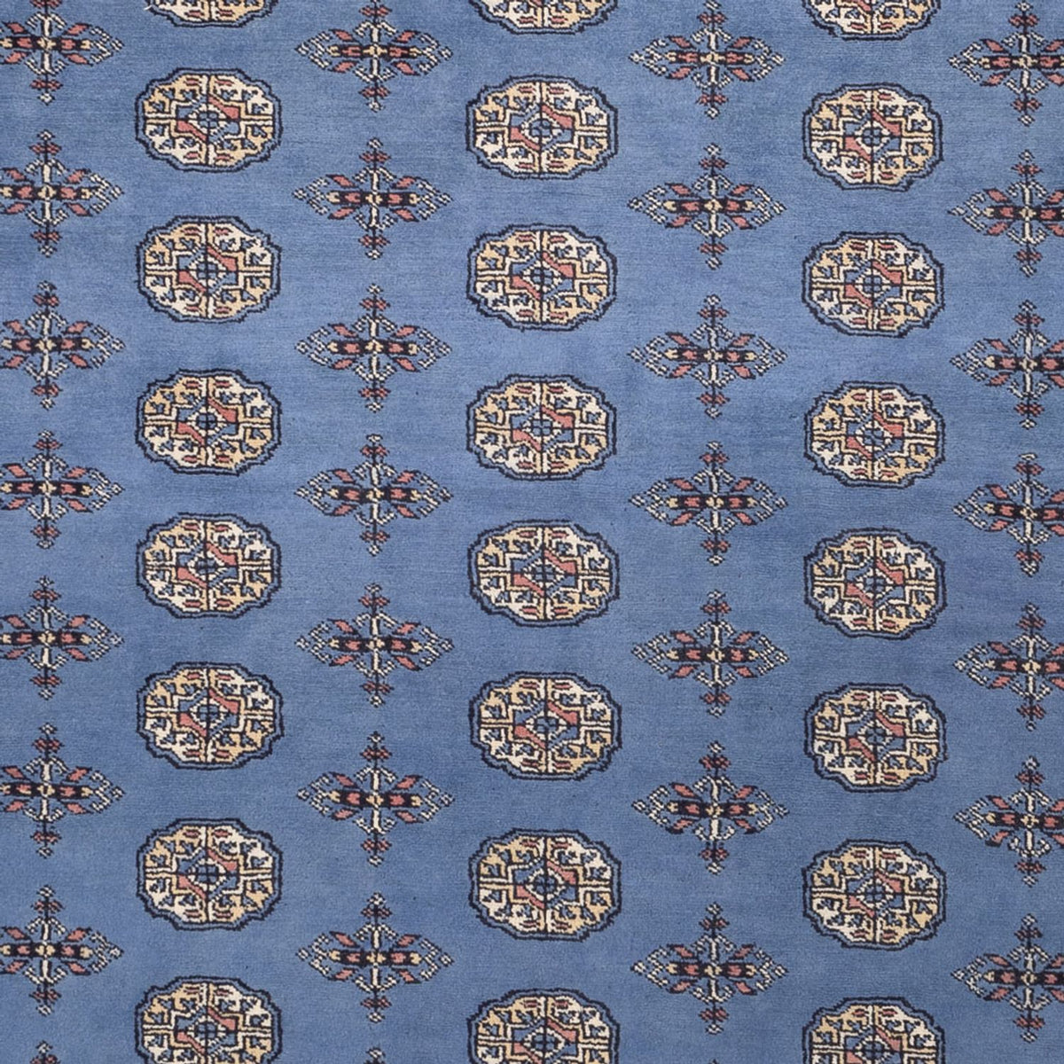 Afghan Teppich - Buchara - 305 x 249 cm - blau