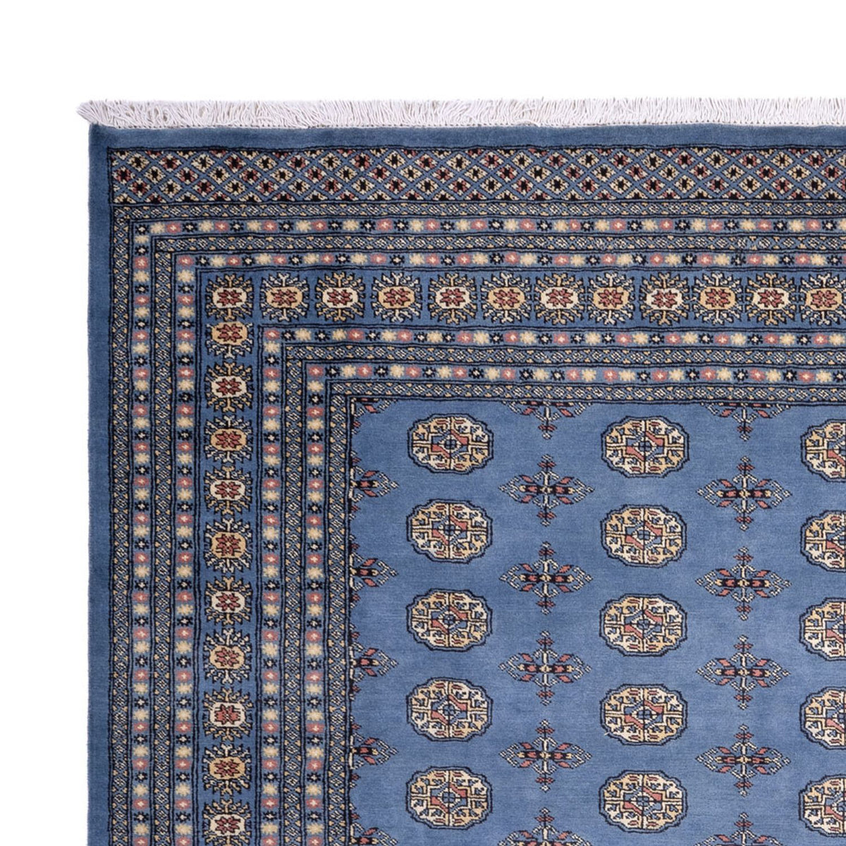 Afghan Teppich - Buchara - 305 x 249 cm - blau