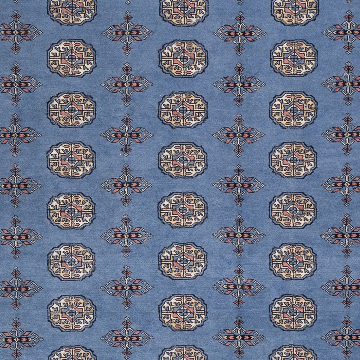 Afghan Teppich - Buchara - 297 x 250 cm - blau