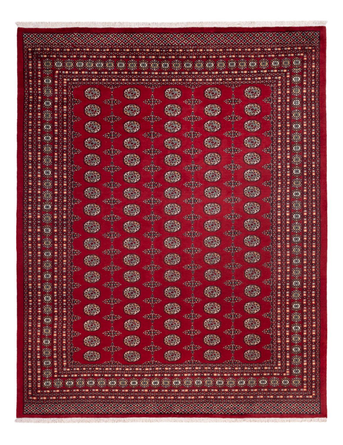 Afghan Teppich - Buchara - 309 x 246 cm - rot