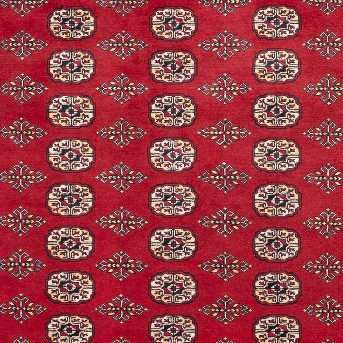 Afghan Teppich - Buchara - 305 x 244 cm - rot