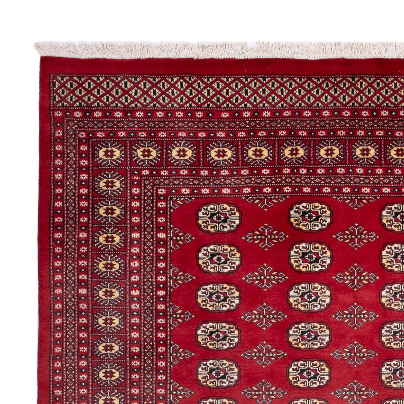 Buchara Teppich 305x244cm - Orientteppich
