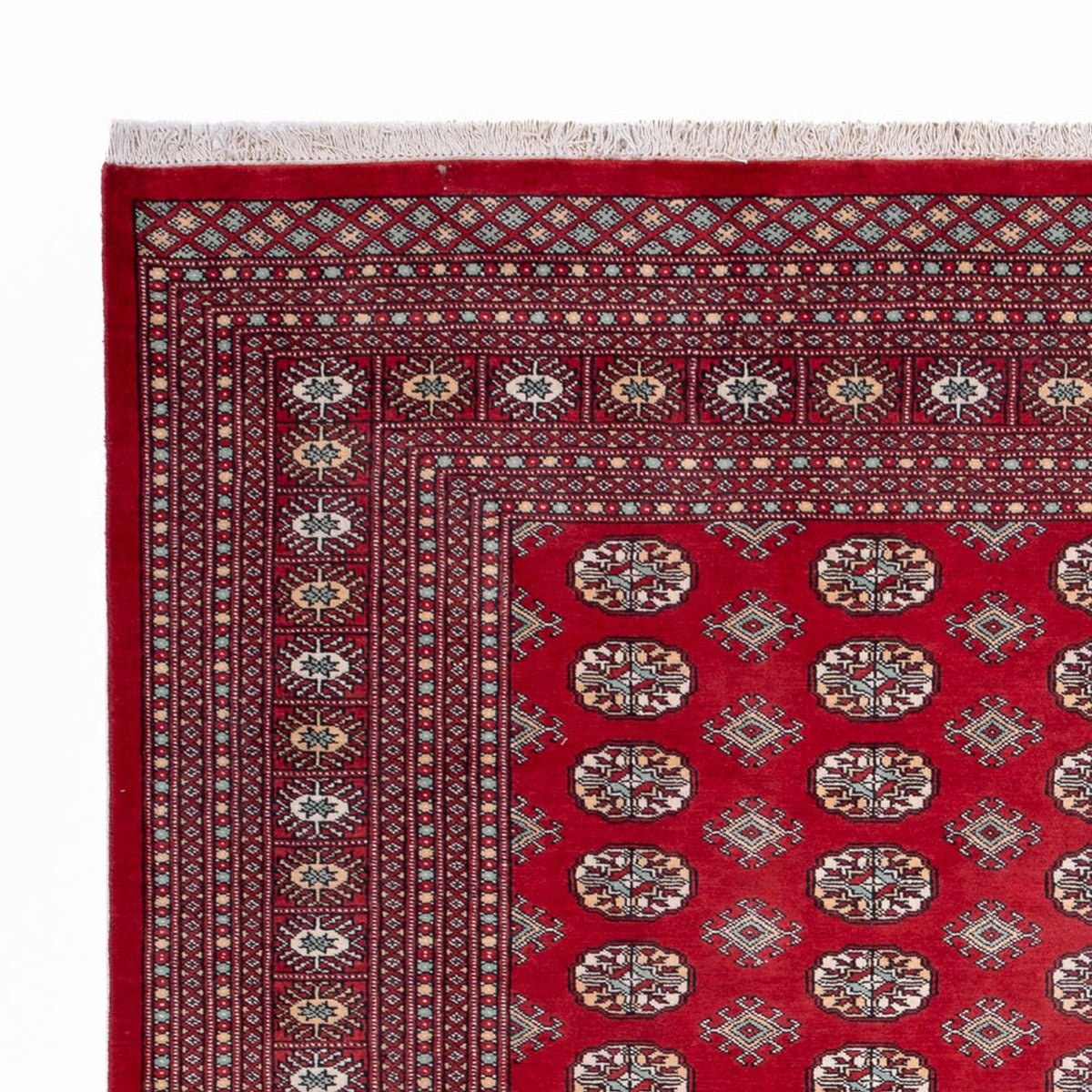 Afghan Teppich - Buchara - 296 x 250 cm - rot
