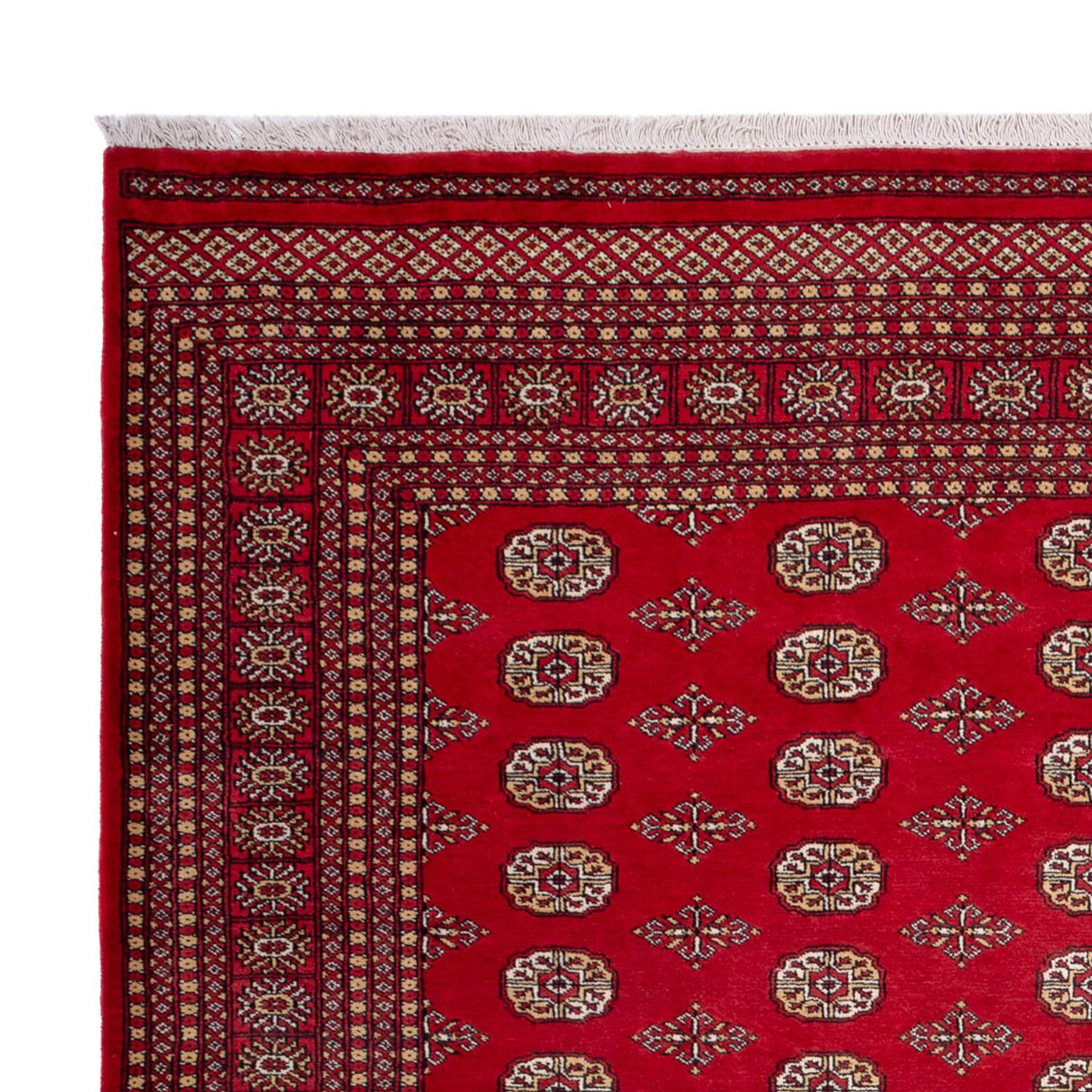 Buchara Teppich 305x252cm - Orientteppich