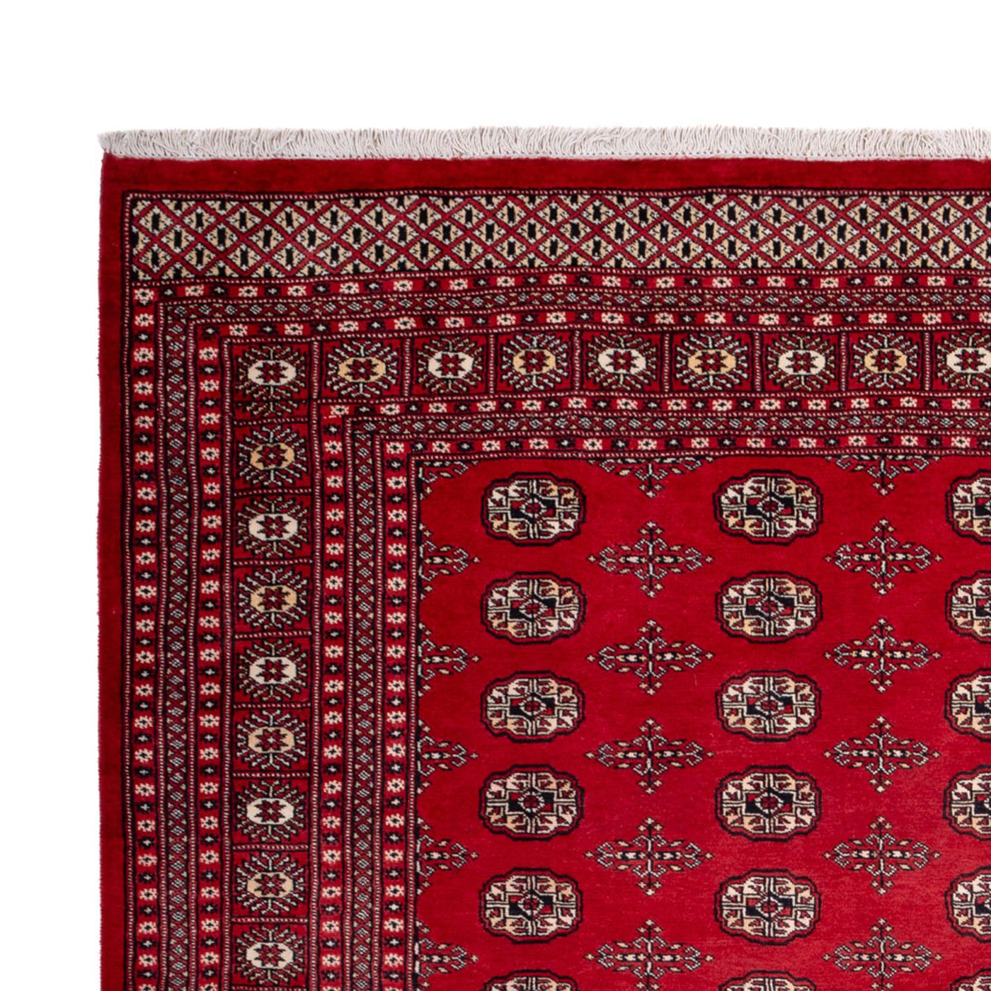 Buchara Teppich 319x250cm - Orientteppich