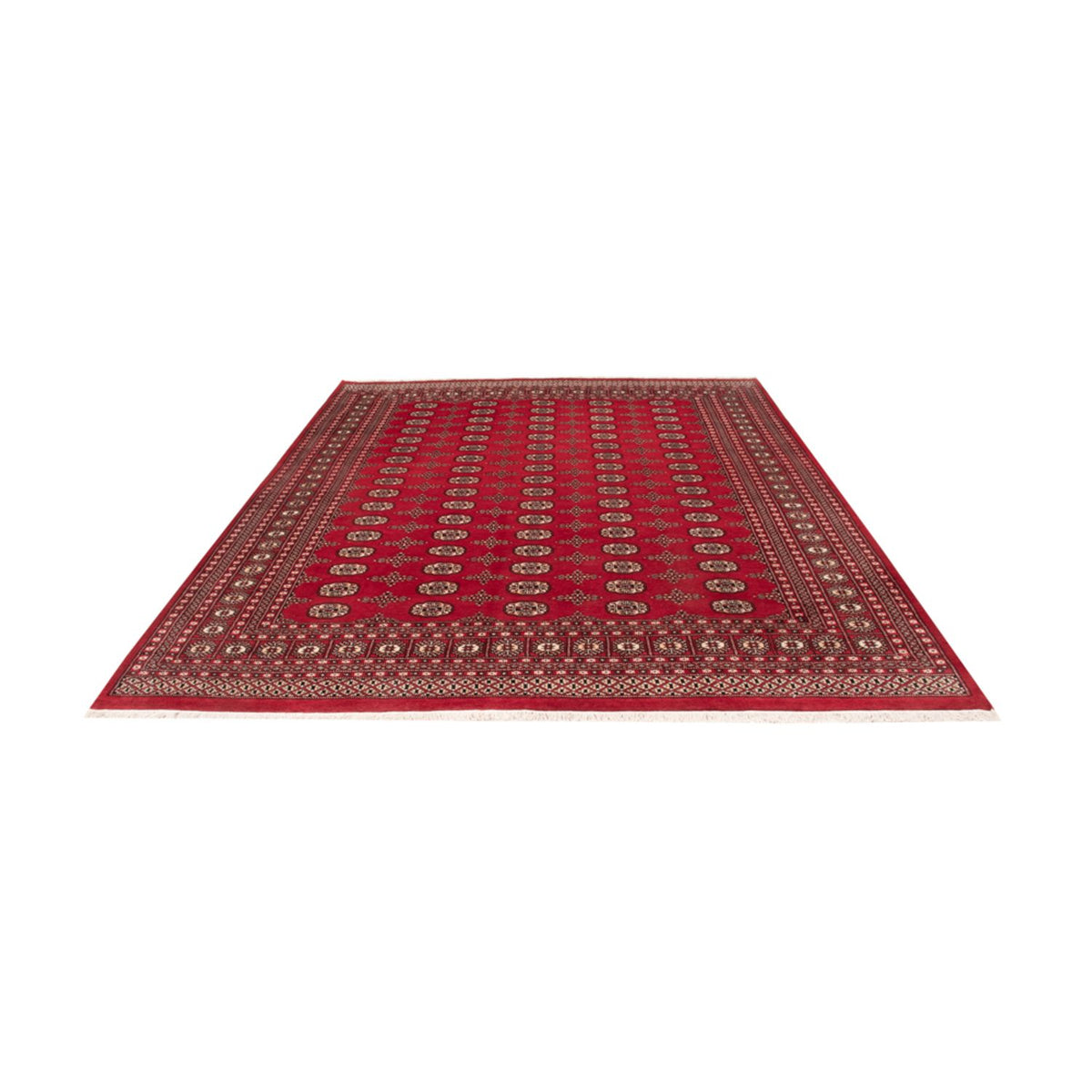 Afghan Teppich - Buchara - 319 x 250 cm - rot