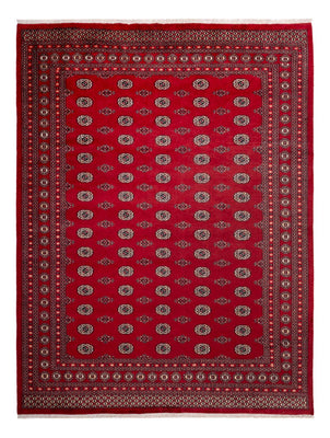 Afghan Teppich - Buchara - 323 x 248 cm - rot
