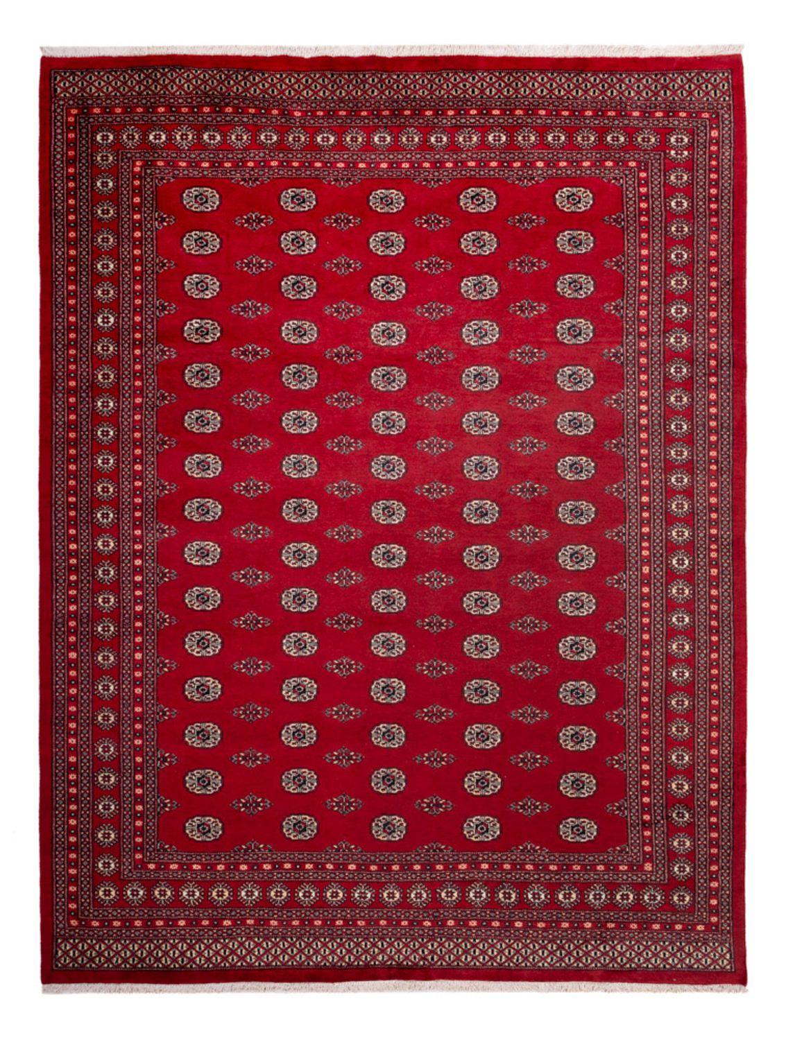 Afghan Teppich - Buchara - 323 x 248 cm - rot