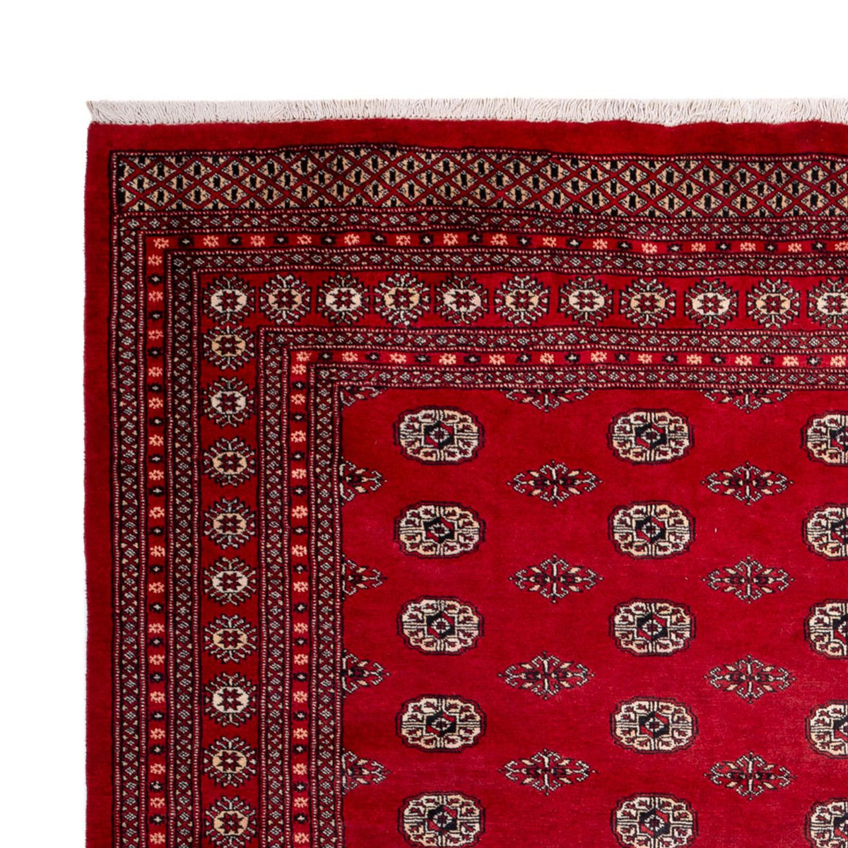 Afghan Teppich - Buchara - 323 x 248 cm - rot