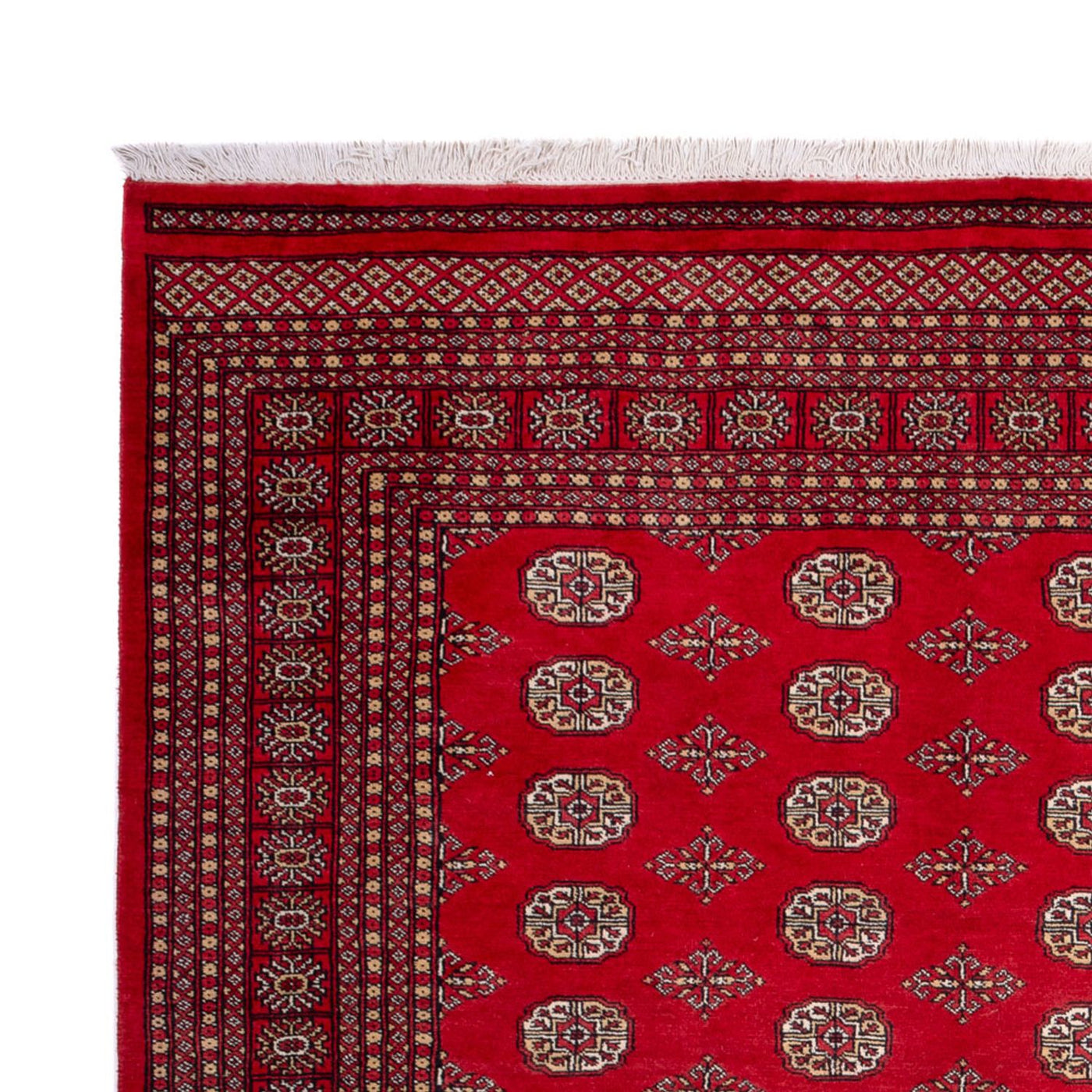 Buchara Teppich 321x247cm - Orientteppich