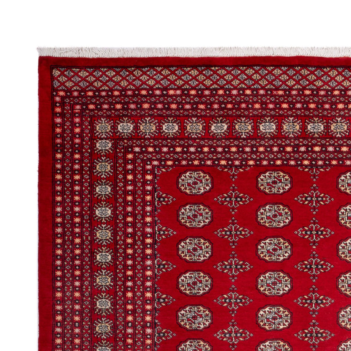 Afghan Teppich - Buchara - 318 x 247 cm - rot