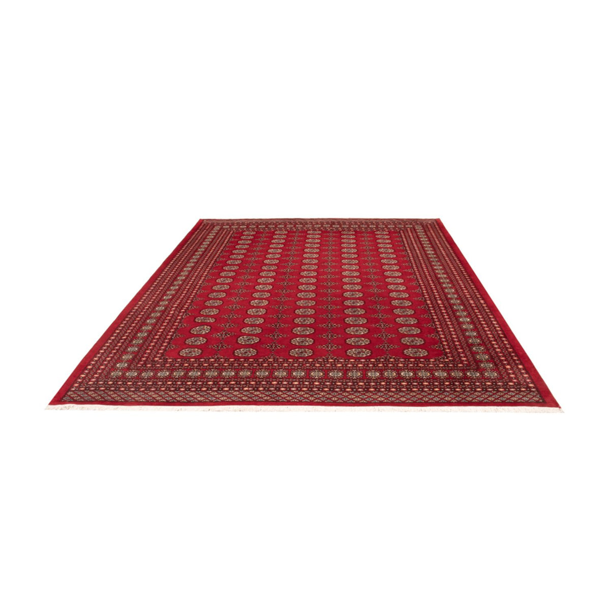 Afghan Teppich - Buchara - 318 x 247 cm - rot