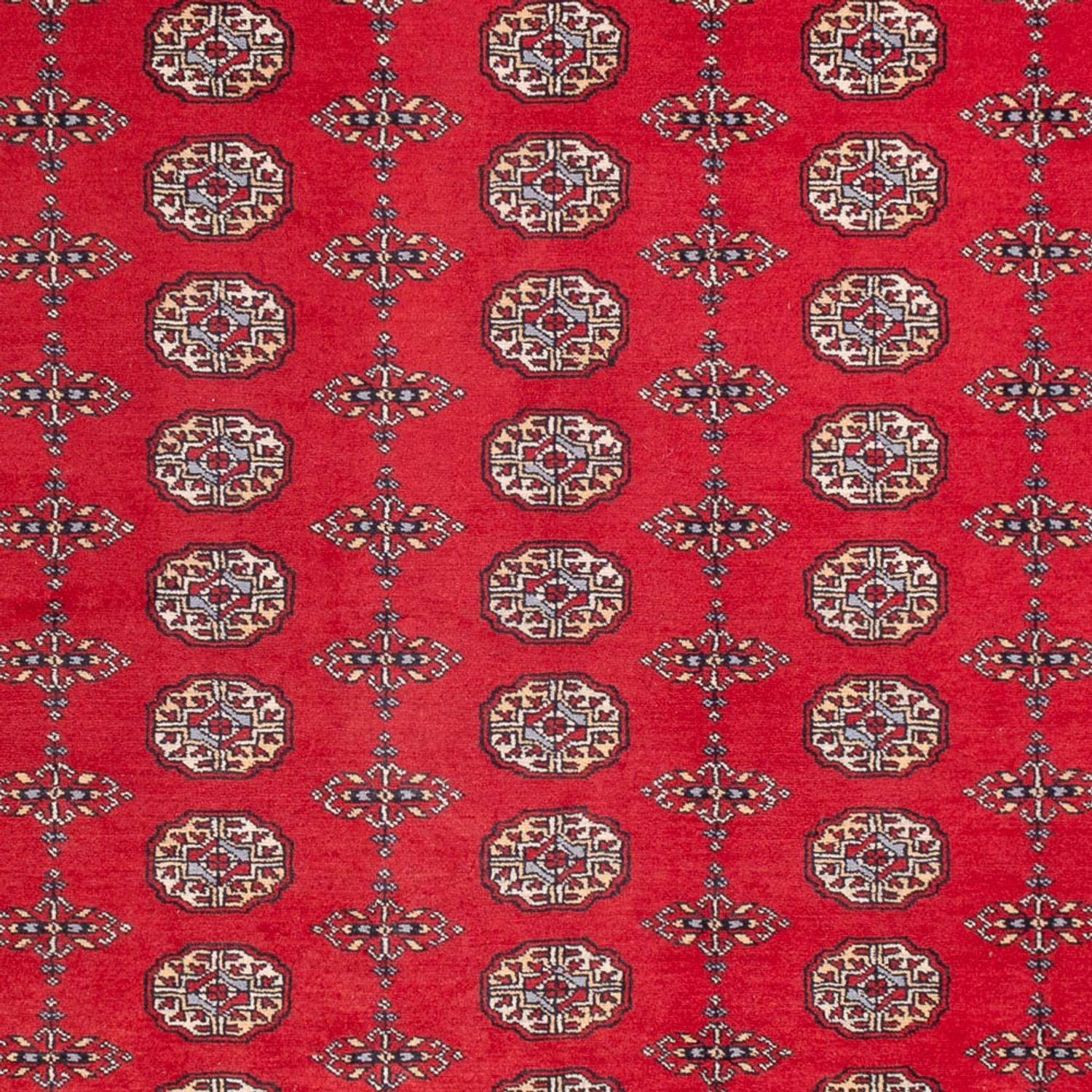 Afghan Teppich - Buchara - 310 x 250 cm - rot