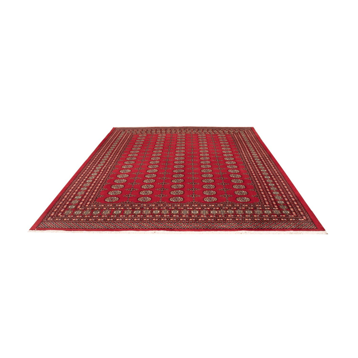 Afghan Teppich - Buchara - 310 x 250 cm - rot