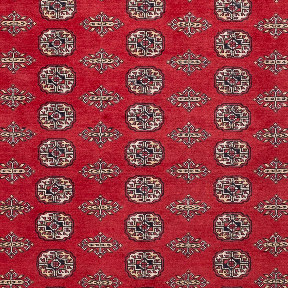 Afghan Teppich - Buchara - 315 x 248 cm - rot