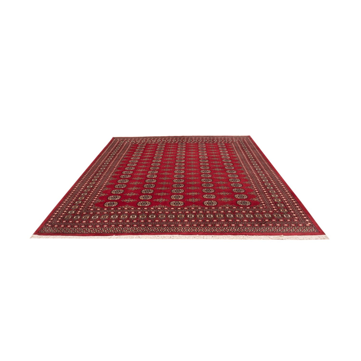 Afghan Teppich - Buchara - 315 x 248 cm - rot