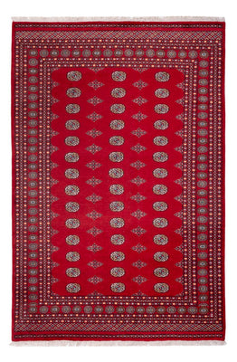 Afghan Teppich - Buchara - 303 x 205 cm - rot