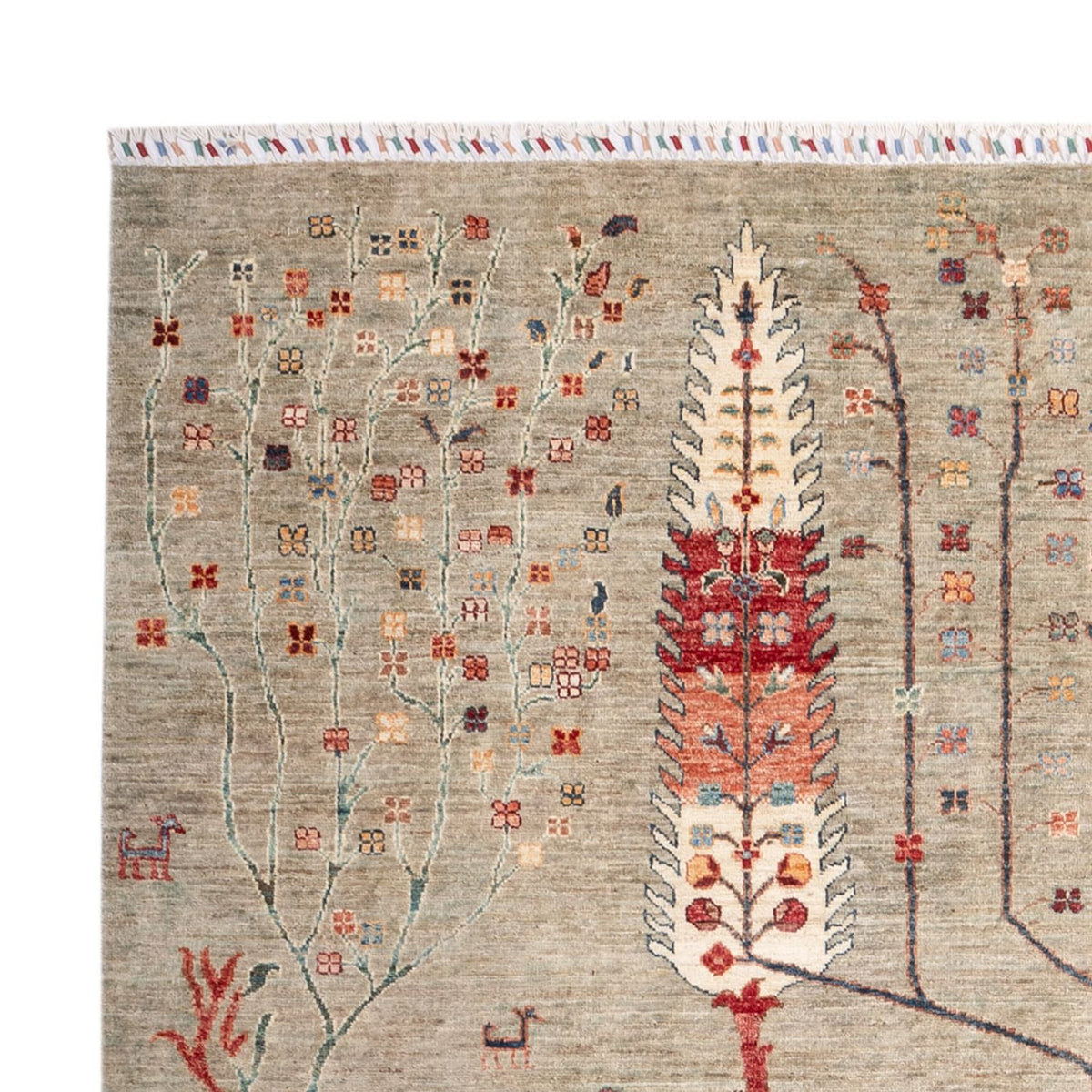 Ziegler Teppich - Ariana - 301 x 205 cm - sand